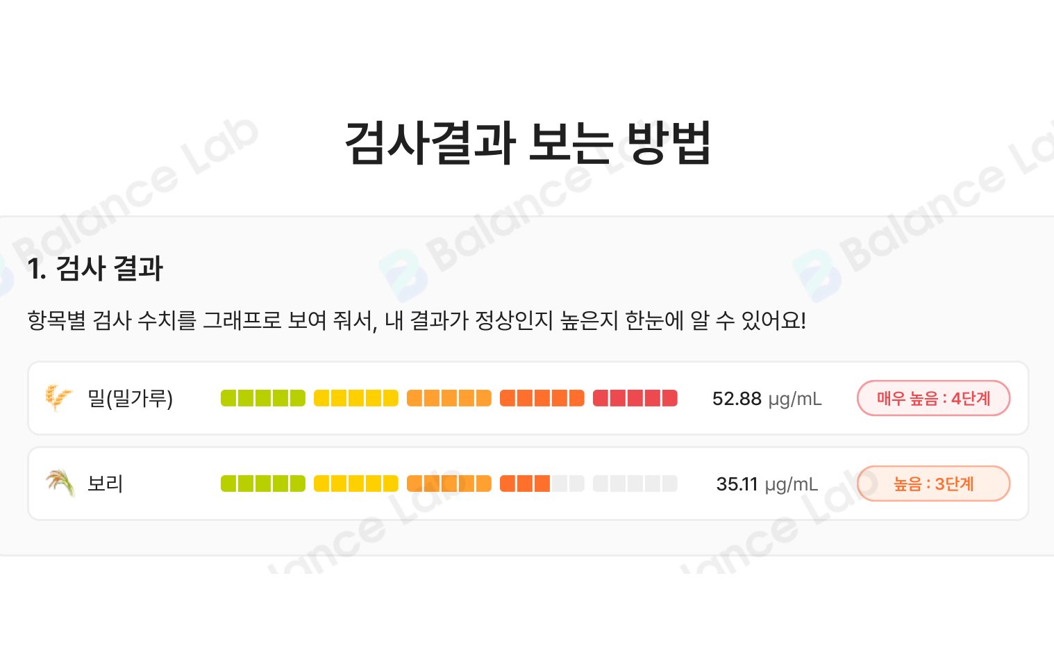 결과지의 검사 결과 지면. 밀(밀가루) 52.88 마이크로그램 퍼 밀리리터 매우 높음 4단계, 보리 35.11 높음 3단계가 막대그래프와 함께 표시돼 있습니다.